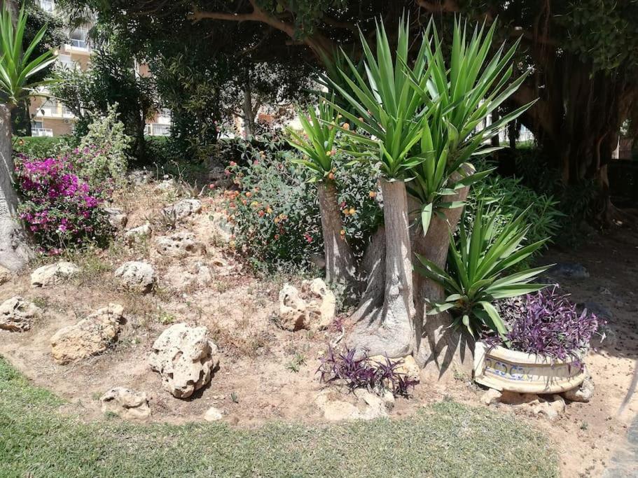 Acogedor,Apartamento.Piscina, Vistas, Terraza Benalmadena Bagian luar foto